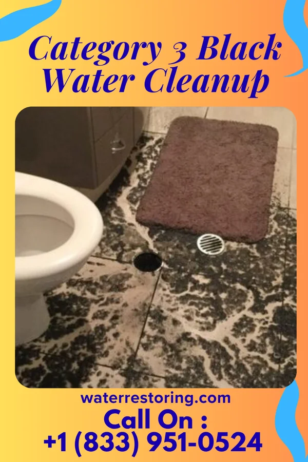 Category 3 Black Water Cleanup in West Point, IL