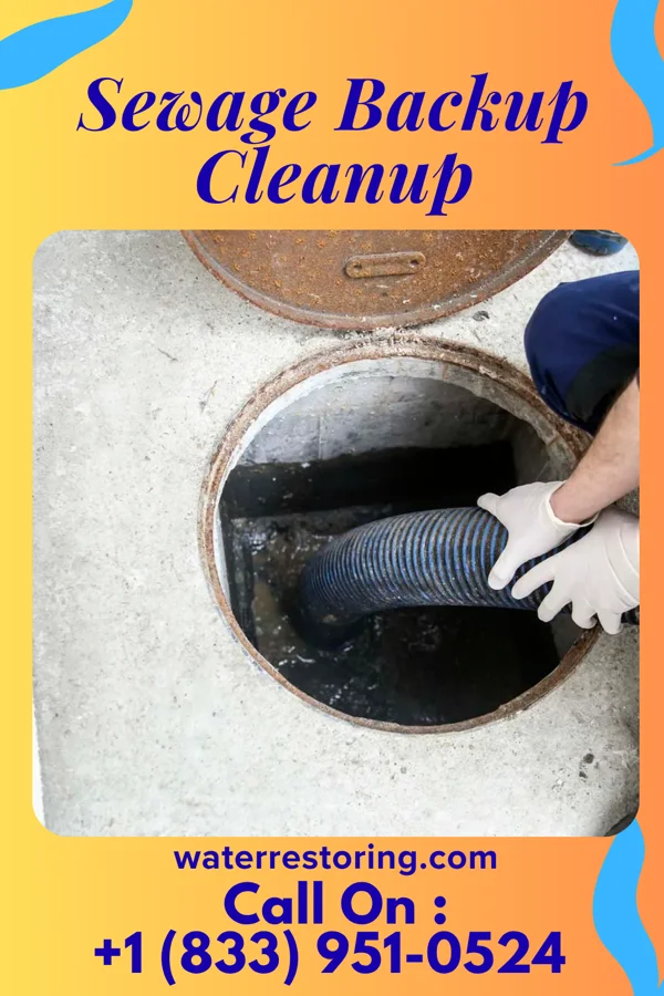 Sewage Backup Cleanup in West Point, IL